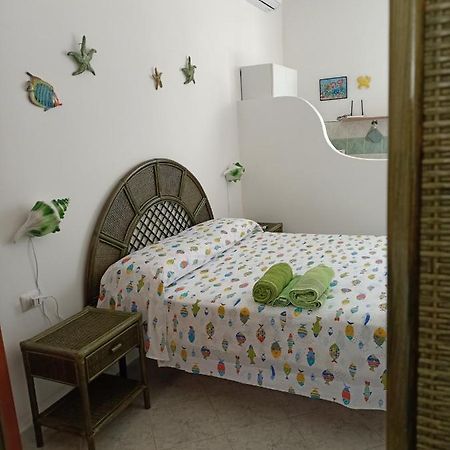 Il monolocale verde pesci conchiglie e stelle marine Ponza Esterno foto
