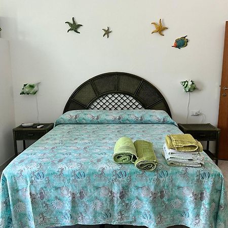 Il monolocale verde pesci conchiglie e stelle marine Ponza Esterno foto