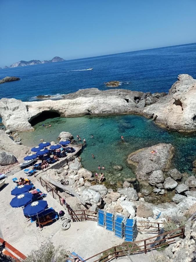 Il monolocale verde pesci conchiglie e stelle marine Ponza Esterno foto