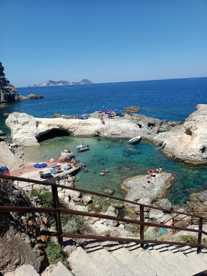Il monolocale verde pesci conchiglie e stelle marine Ponza Esterno foto