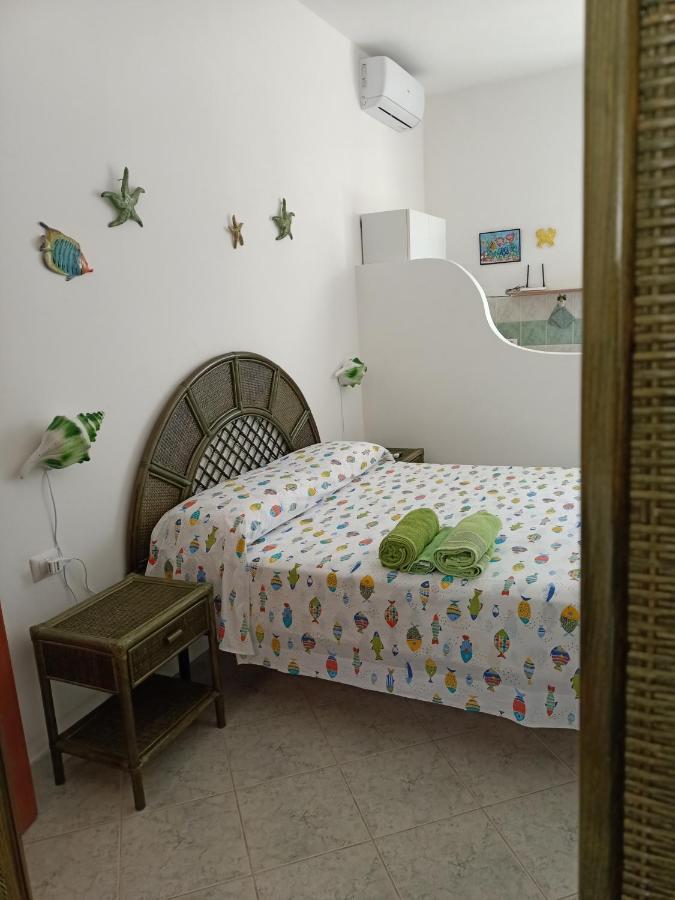 Il monolocale verde pesci conchiglie e stelle marine Ponza Esterno foto