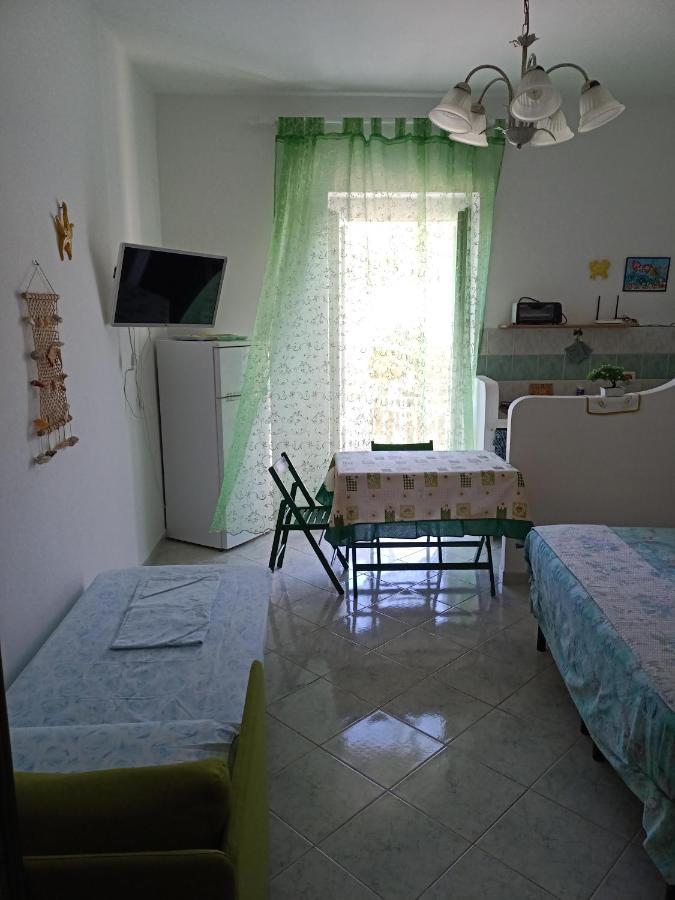 Il monolocale verde pesci conchiglie e stelle marine Ponza Esterno foto