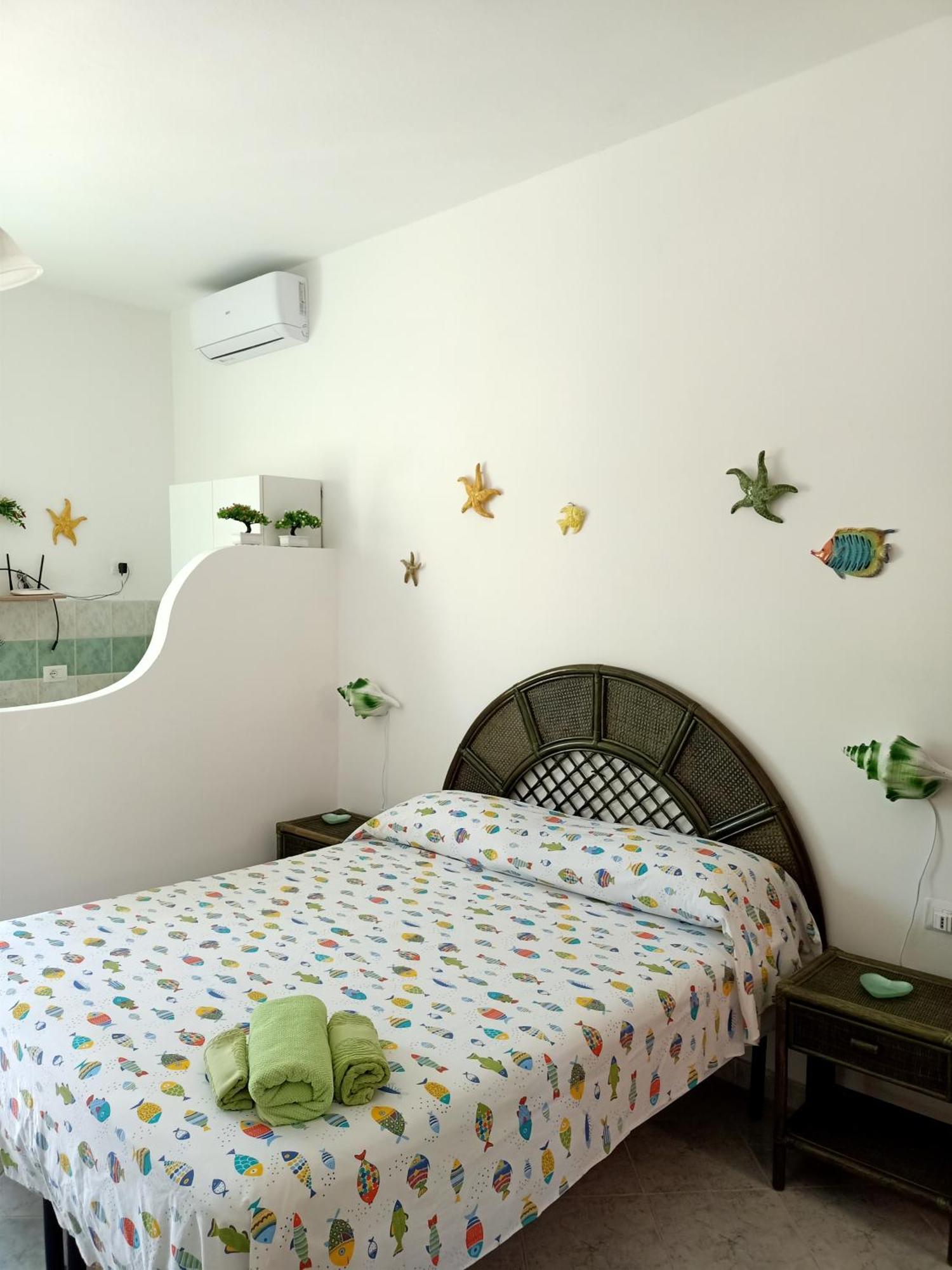 Il monolocale verde pesci conchiglie e stelle marine Ponza Esterno foto