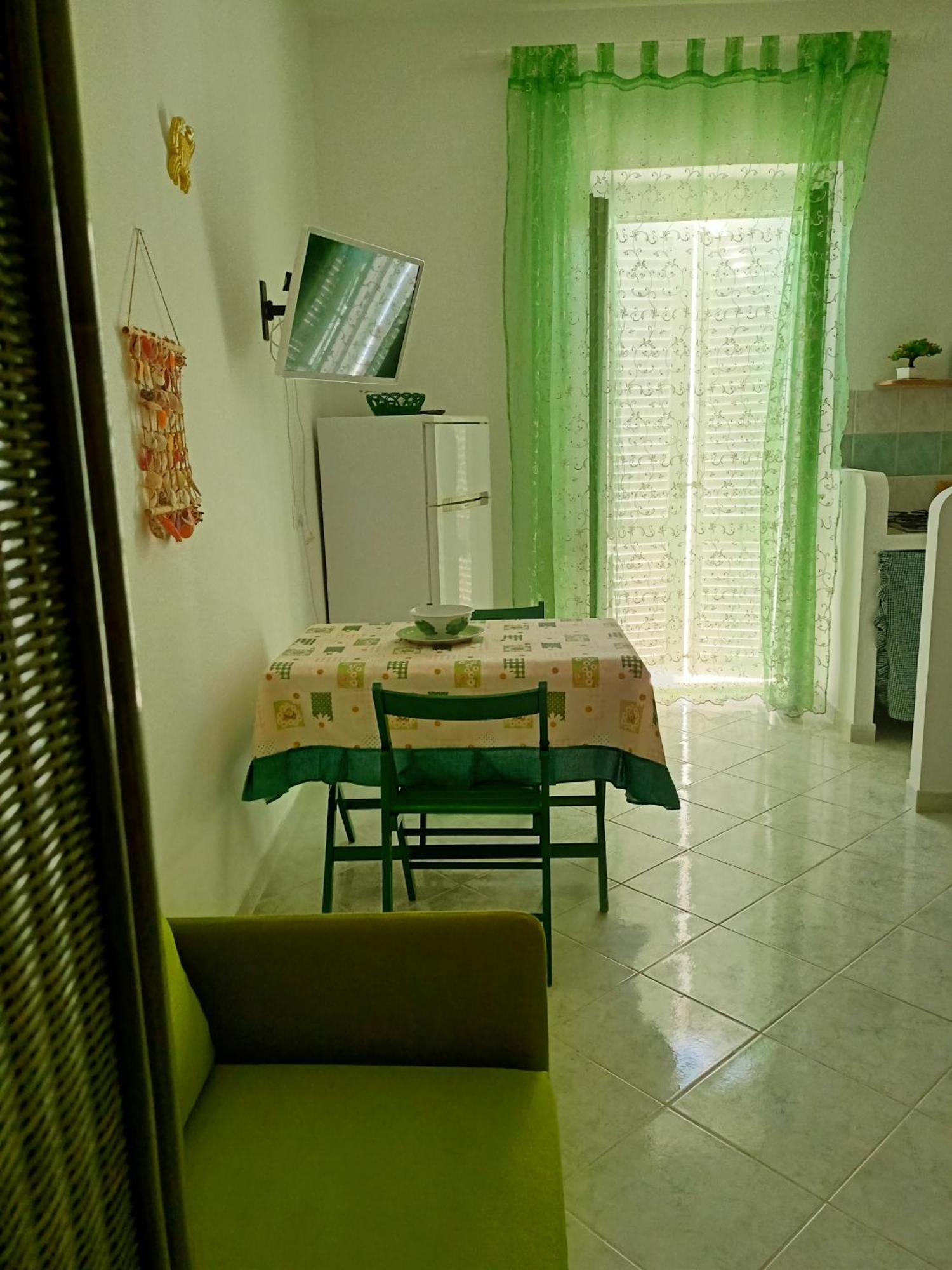 Il monolocale verde pesci conchiglie e stelle marine Ponza Esterno foto